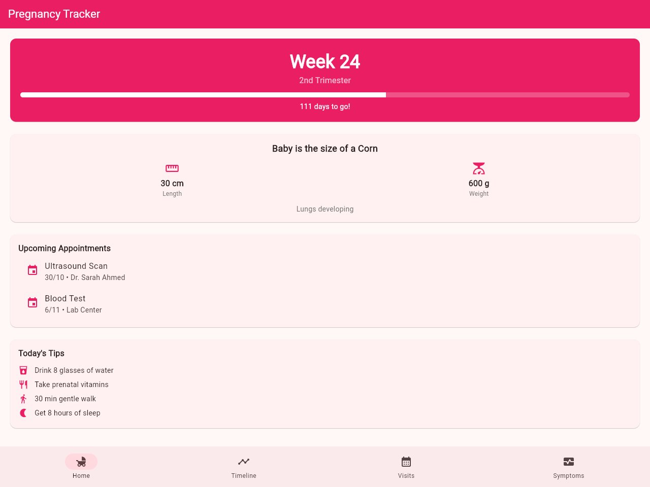 Screenshot der Pregnancy Tracker-Vorlage