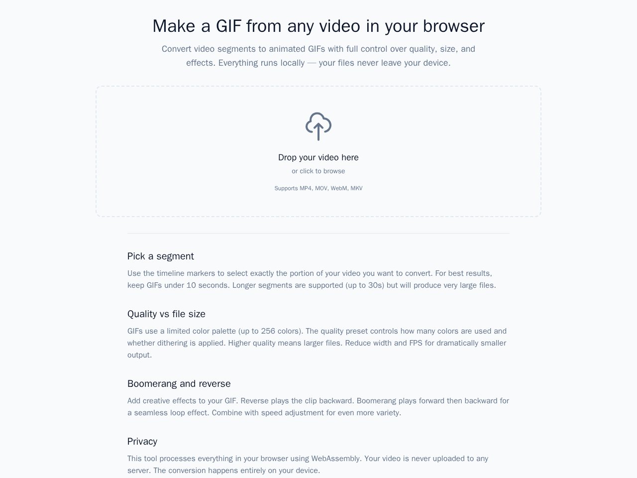 Anteprima del modello Video To Gif